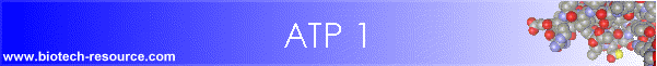 ATP 1